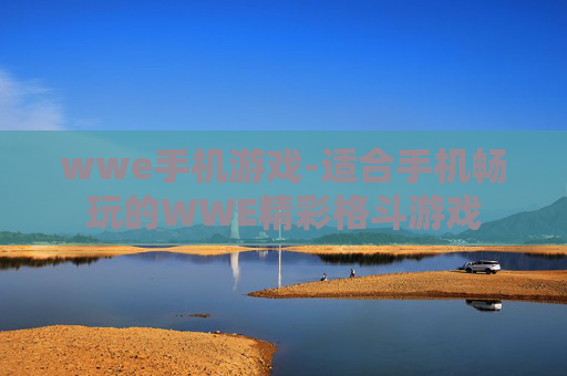 wwe手机游戏-适合手机畅玩的WWE精彩格斗游戏