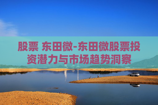 股票 东田微-东田微股票投资潜力与市场趋势洞察