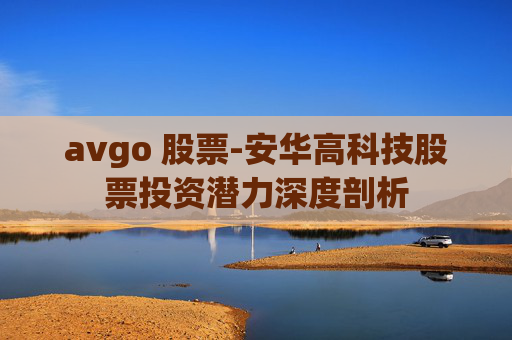 avgo 股票-安华高科技股票投资潜力深度剖析