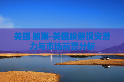 美团 股票-美团股票投资潜力与市场前景分析