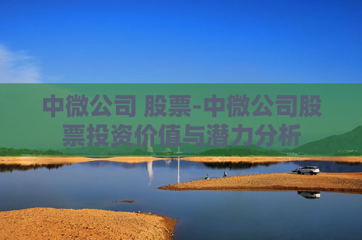 中微公司 股票-中微公司股票投资价值与潜力分析