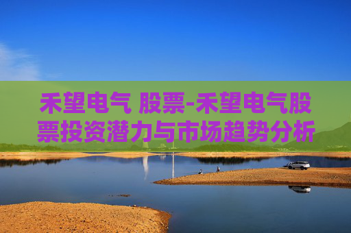 禾望电气 股票-禾望电气股票投资潜力与市场趋势分析
