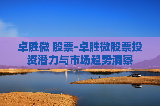 卓胜微 股票-卓胜微股票投资潜力与市场趋势洞察