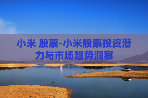 小米 股票-小米股票投资潜力与市场趋势洞察