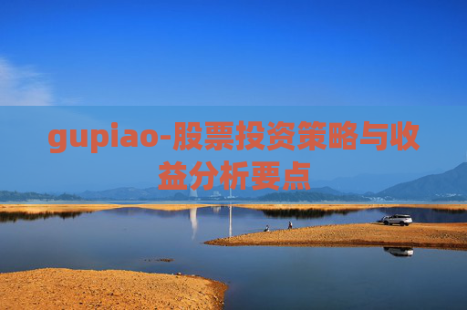 gupiao-股票投资策略与收益分析要点