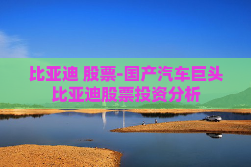 比亚迪 股票-国产汽车巨头比亚迪股票投资分析