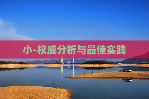 小-权威分析与最佳实践