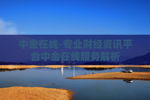 中金在线-专业财经资讯平台中金在线服务解析