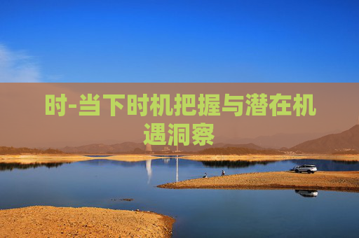 时-当下时机把握与潜在机遇洞察