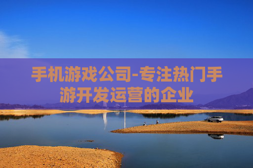 手机游戏公司-专注热门手游开发运营的企业