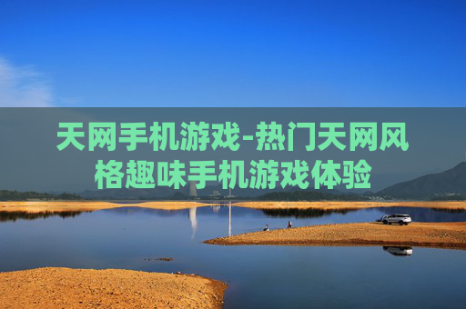 天网手机游戏-热门天网风格趣味手机游戏体验