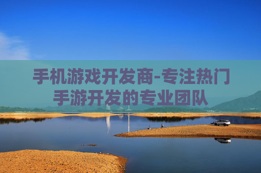 手机游戏开发商-专注热门手游开发的专业团队