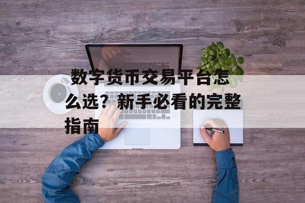  数字货币交易平台怎么选？新手必看的完整指南
